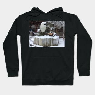 Winter wonder Walle Hoodie